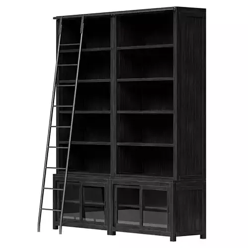 Admont Double Bookcase With Ladder