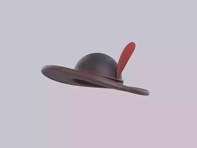 Hat207