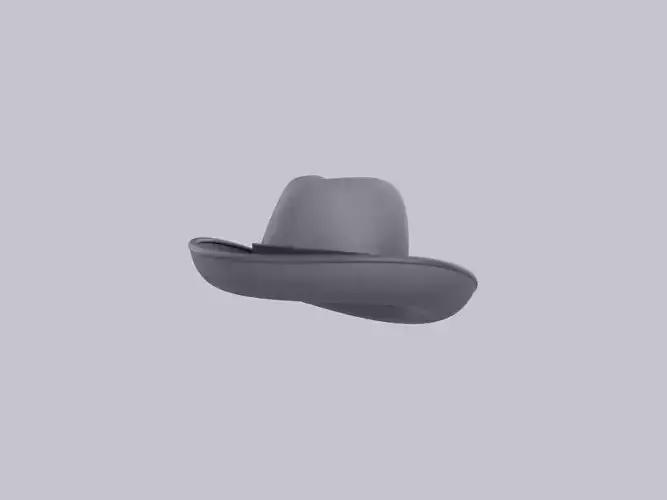 Hat145 3D model