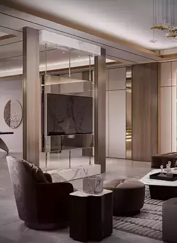 Luxury Villa Basement 