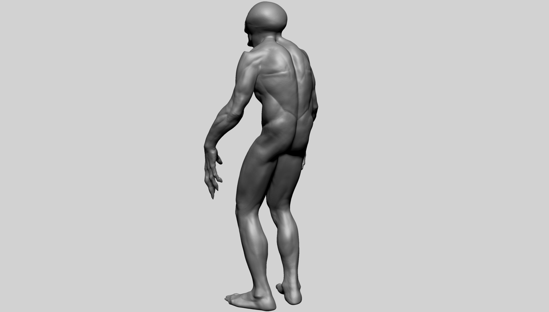 Fantasy Male Anatomy C 3D model_4
