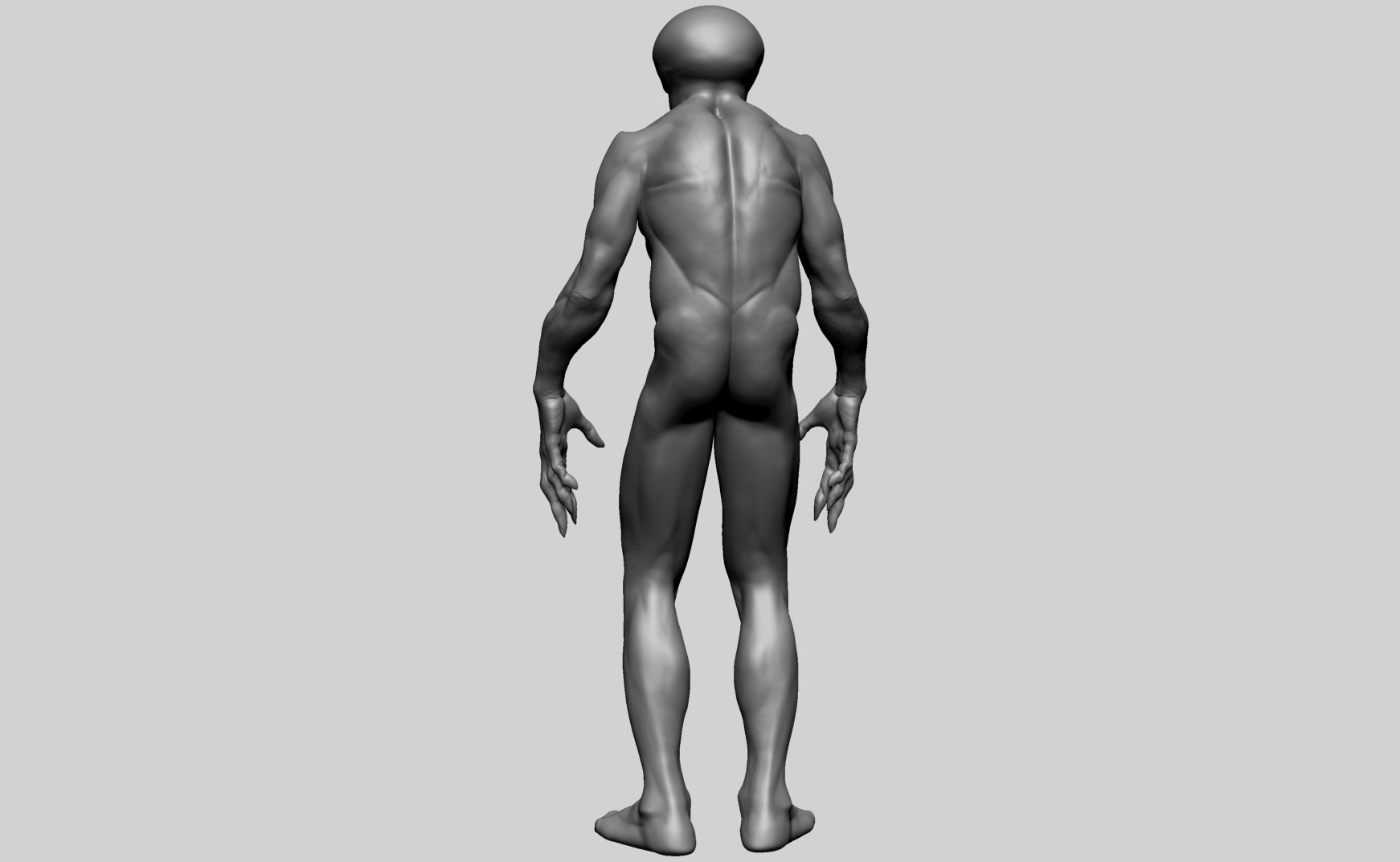 Fantasy Male Anatomy C 3D model_3