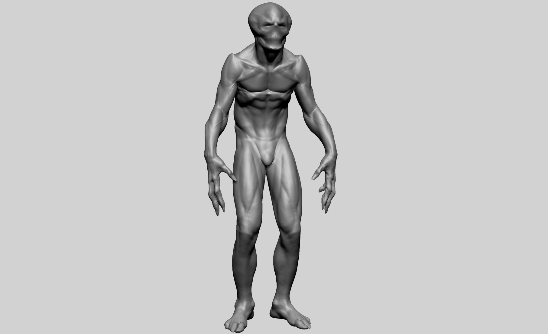 Fantasy Male Anatomy C 3D model_1
