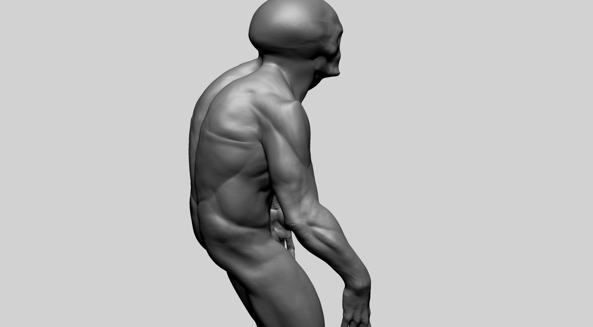 Fantasy Male Anatomy C 3D model_8