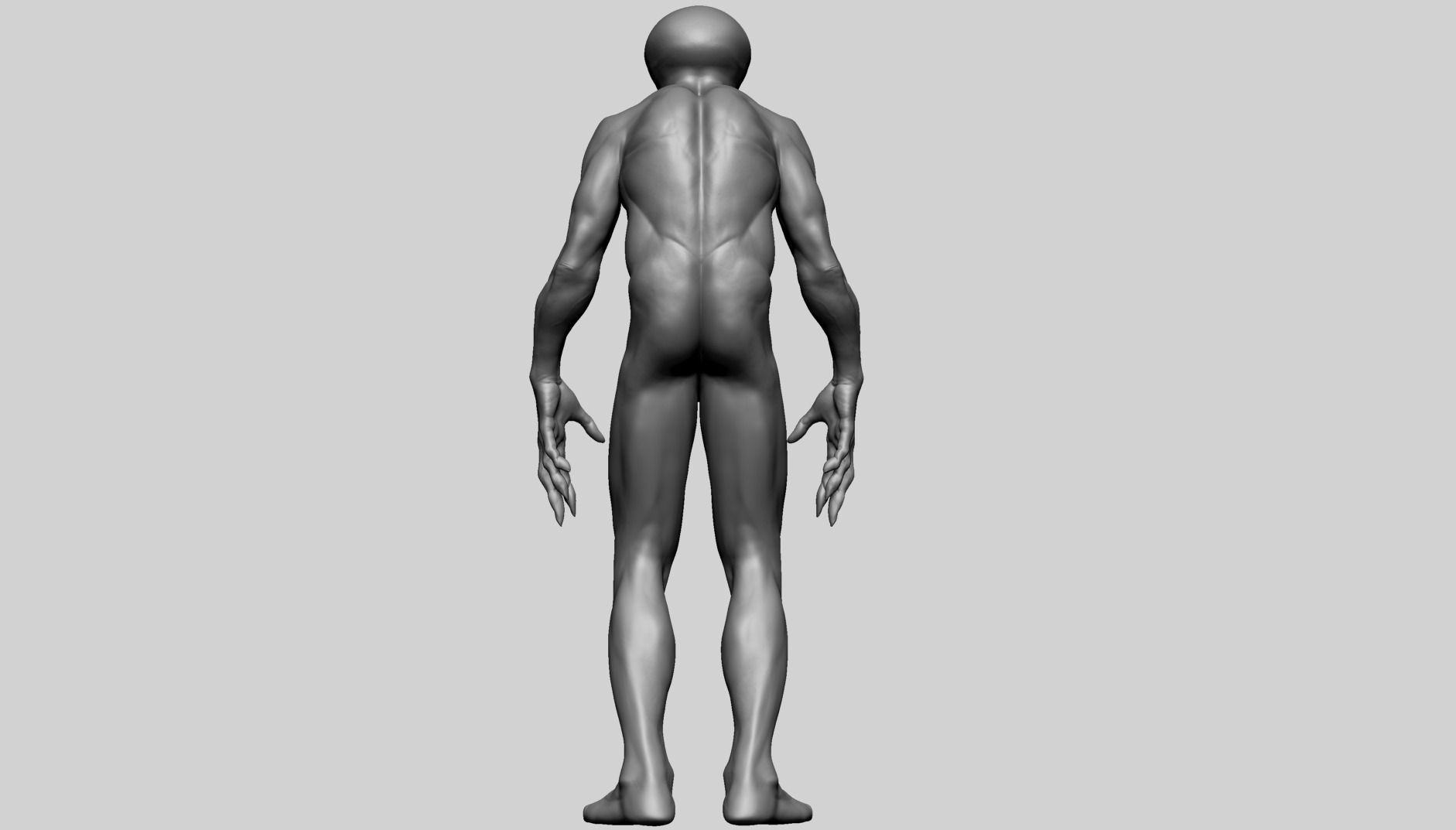 Fantasy Male Anatomy C 3D model_9