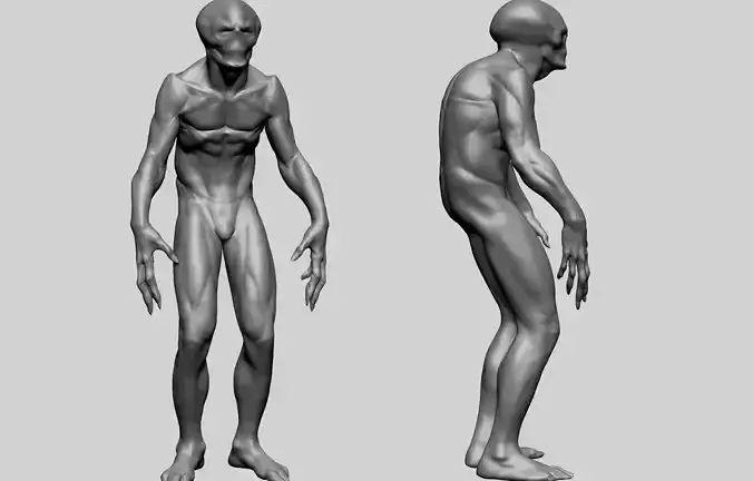 Fantasy Male Anatomy C 3D model