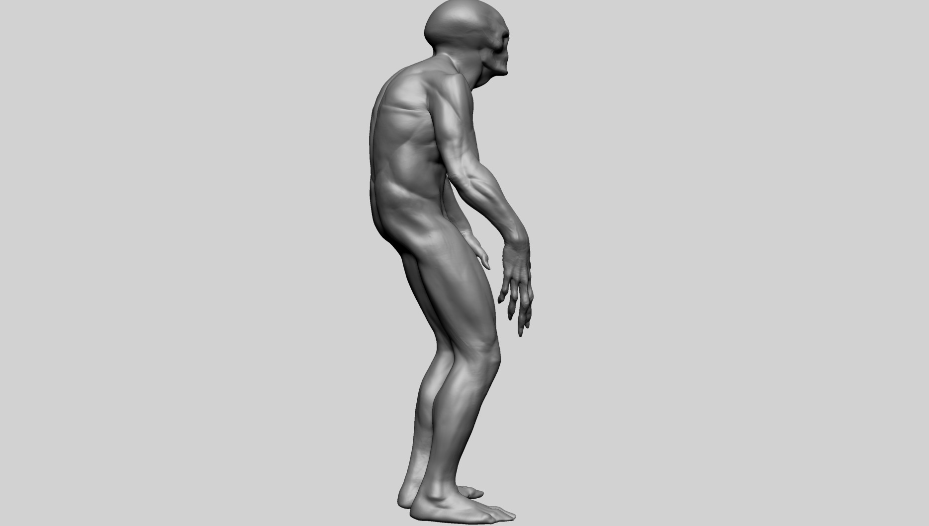 Fantasy Male Anatomy C 3D model_2