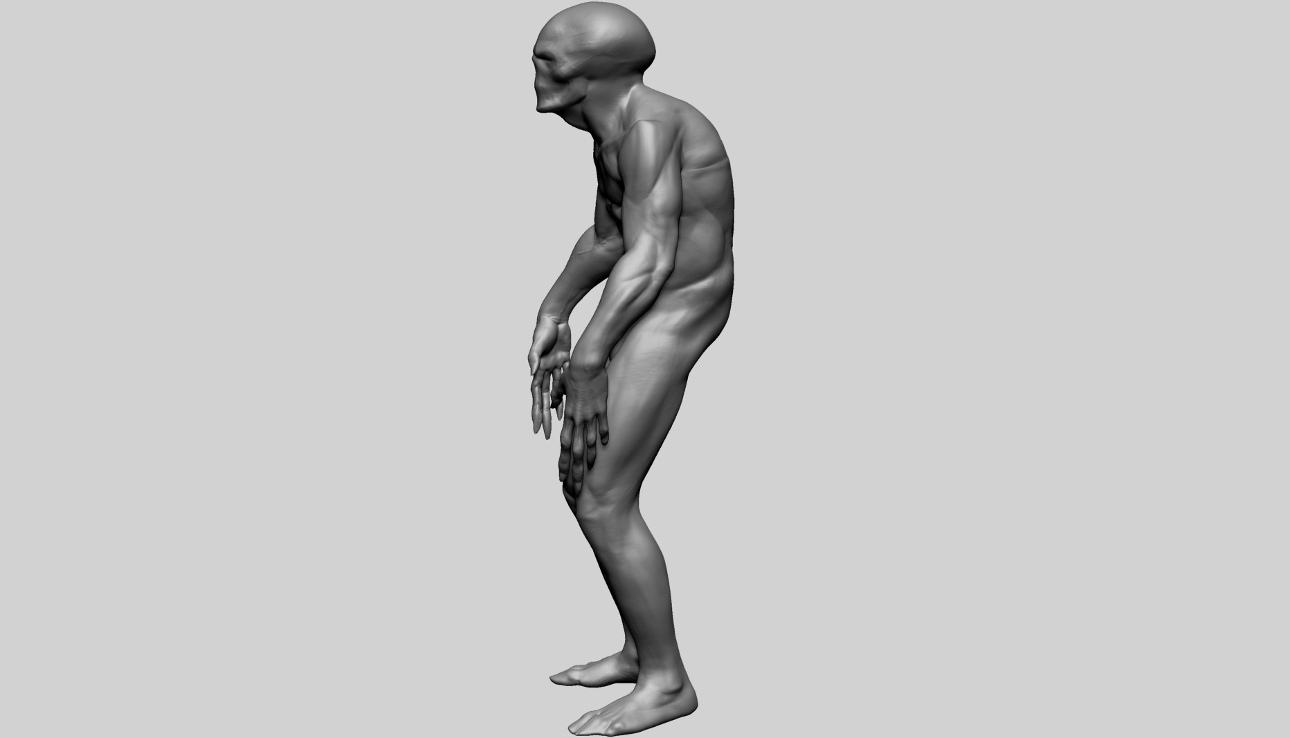 Fantasy Male Anatomy C 3D model_5