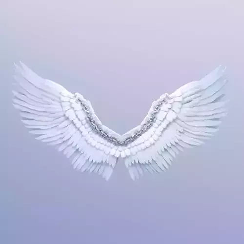 Stylized Angel Feather Wings