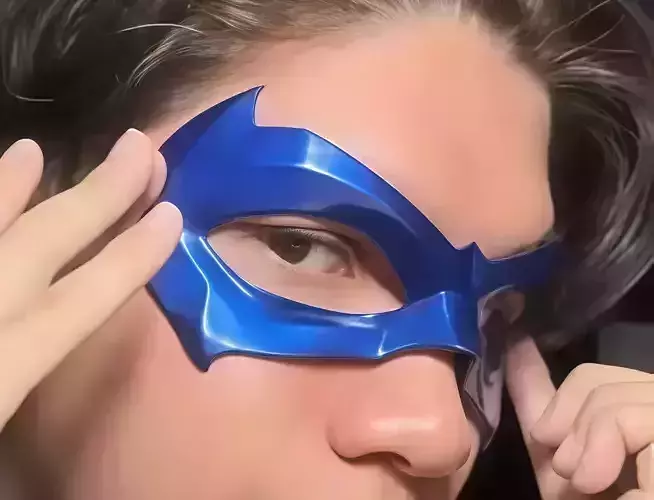 Nightwing Mask