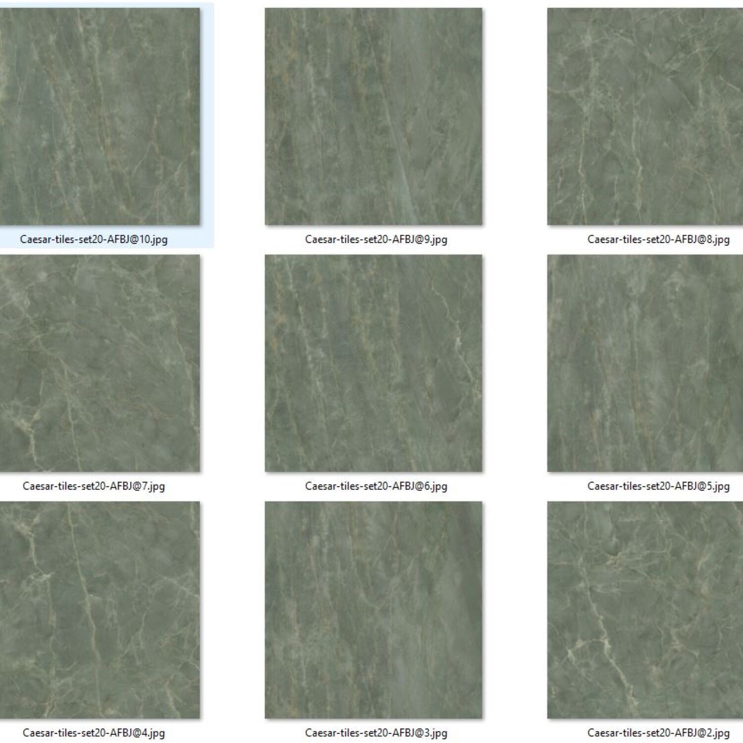 Caesar Set 20 - Marble Sage Green Texture_2