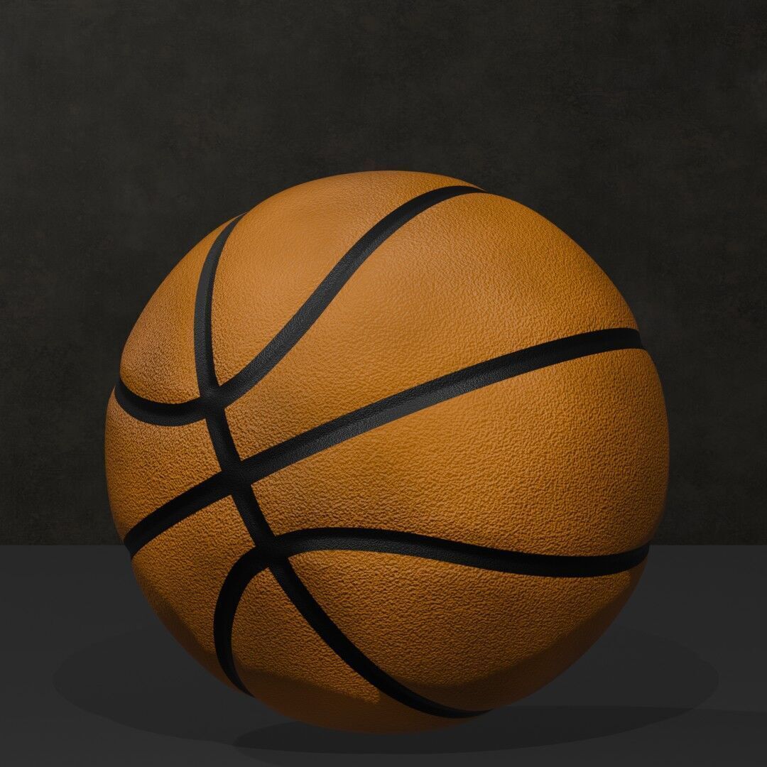 Pila Canistriludii 3D print model_3