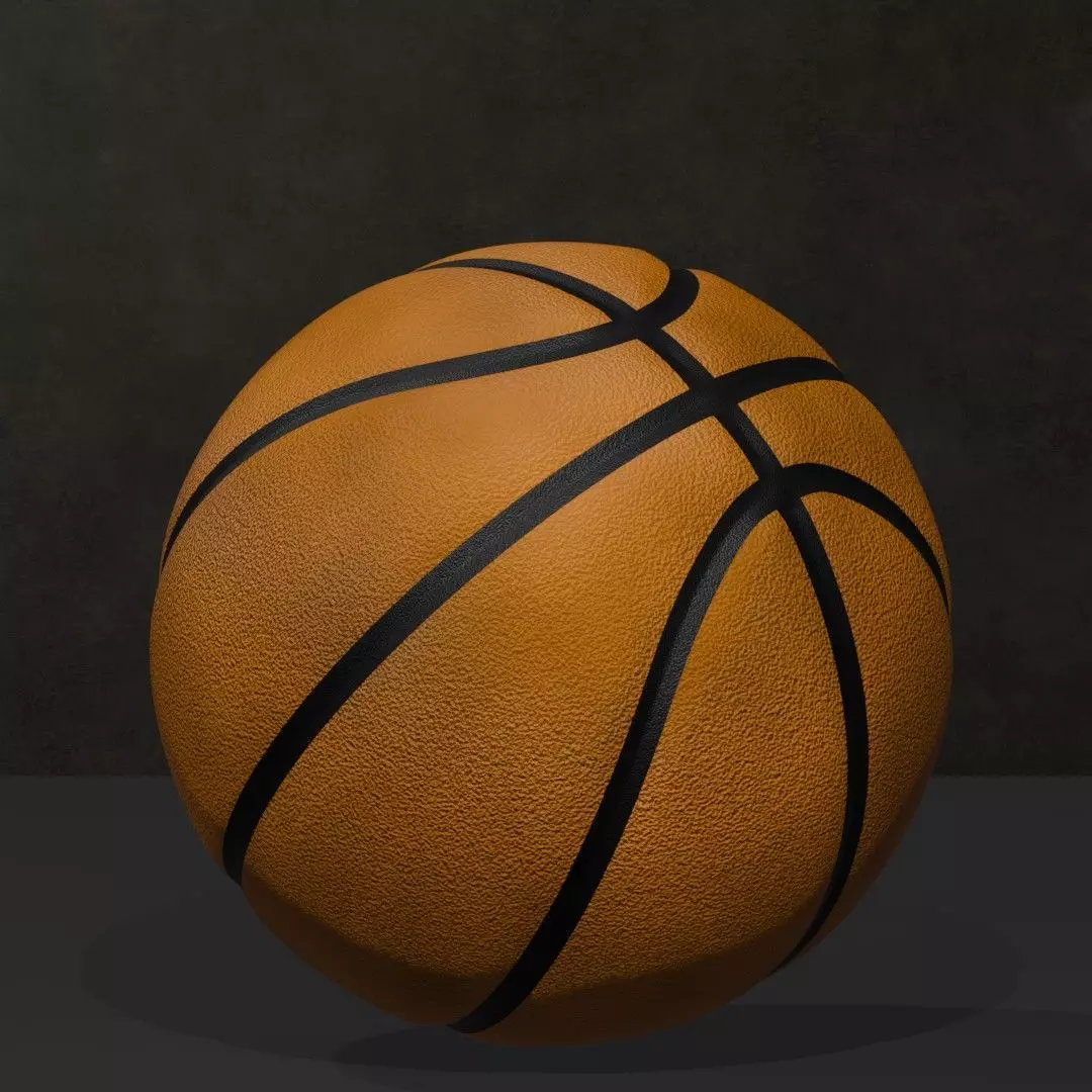 Pila Canistriludii 3D print model_0