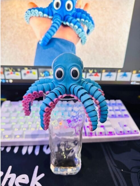 Articulated  octopus  3D print model_11