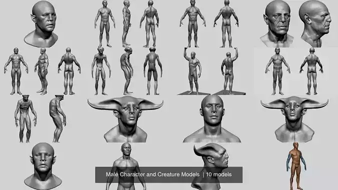 Male Character and Creature Models  3D Model Collection