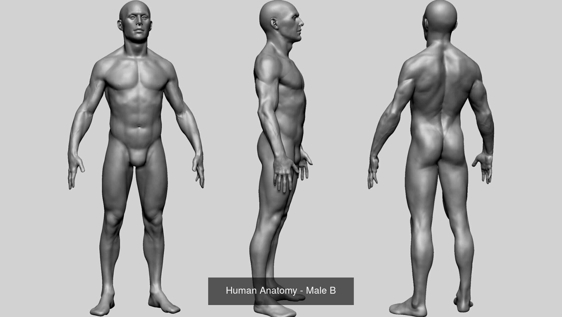 Male Character and Creature Models  3D Model Collection_2