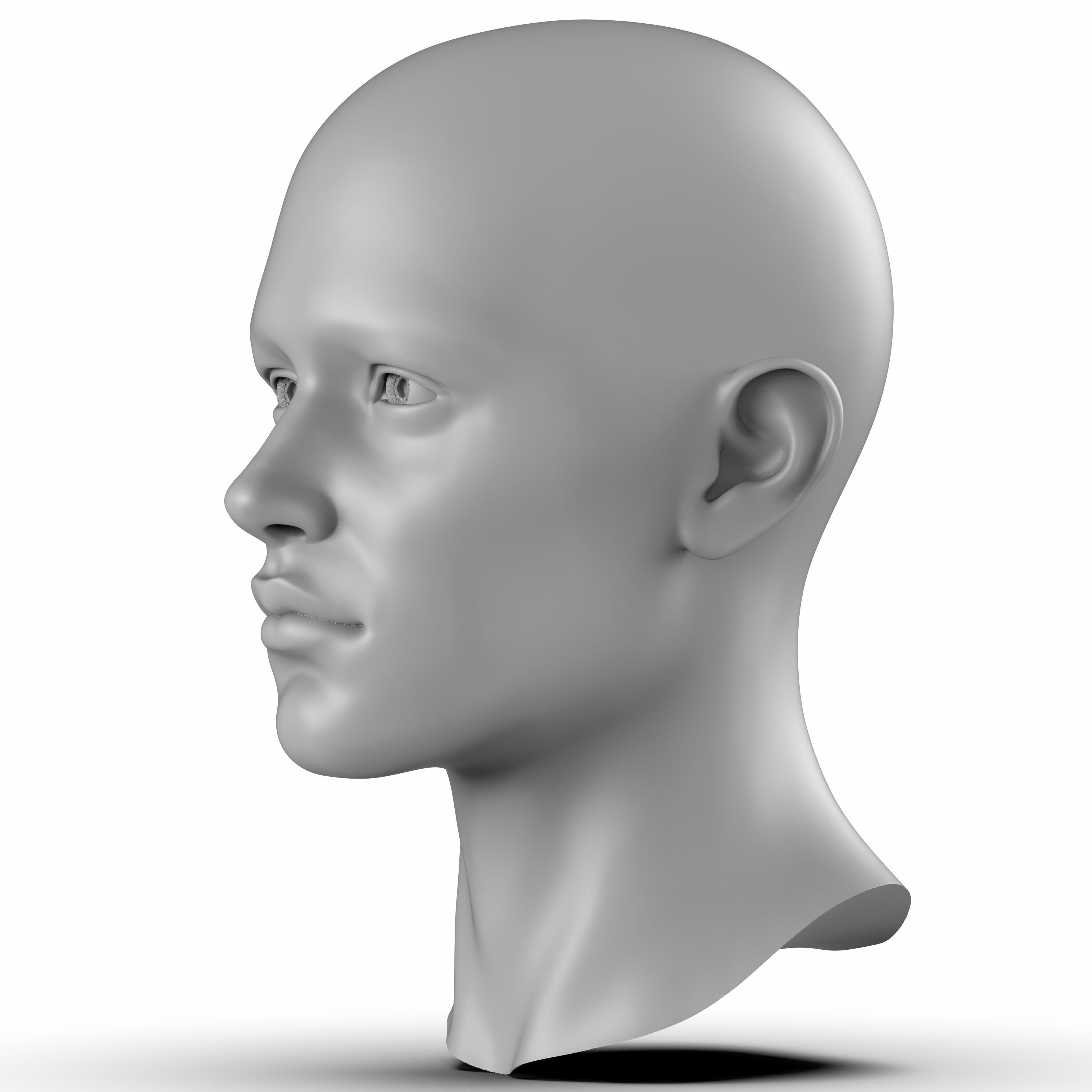James - head 3D head model realistic head 3D model_3
