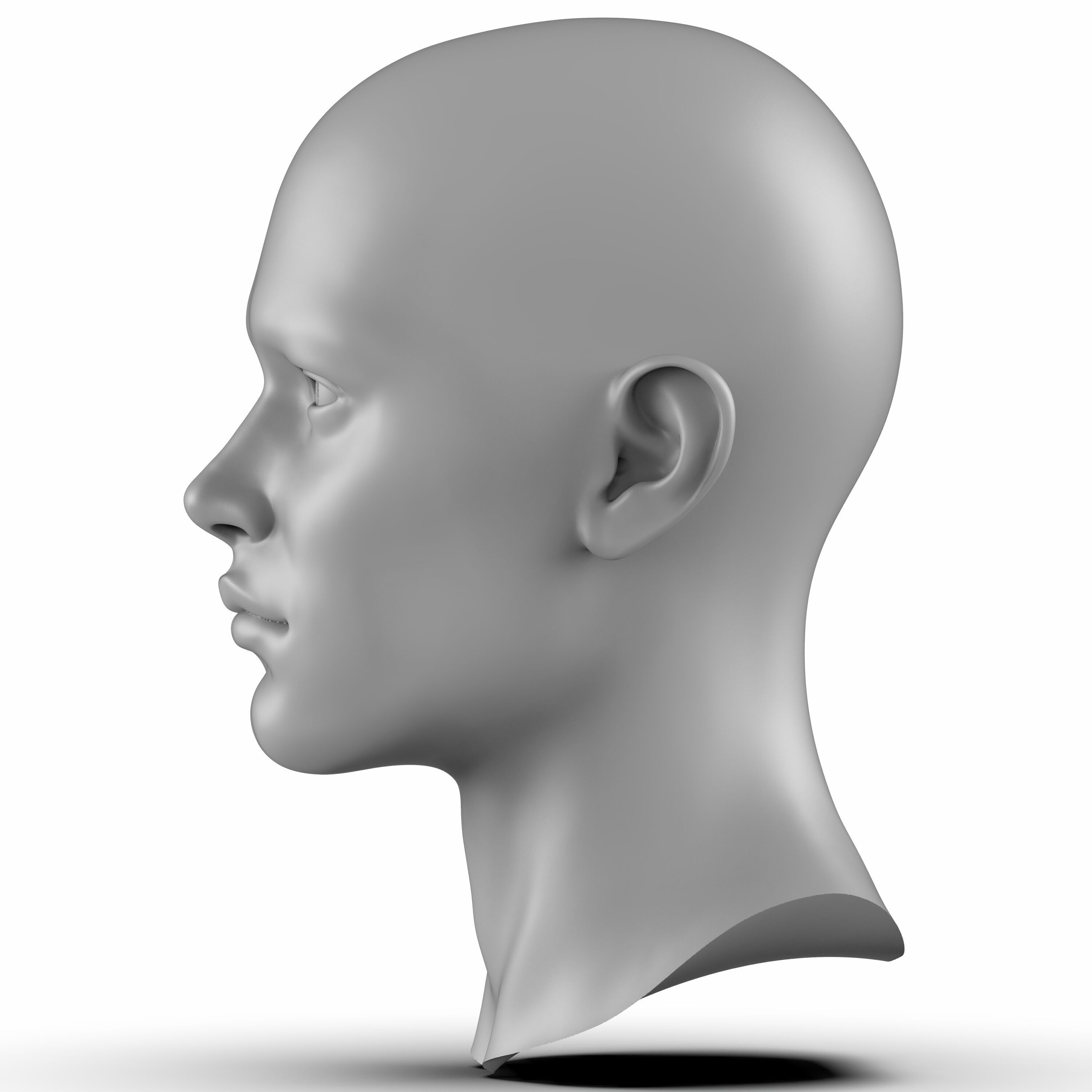James - head 3D head model realistic head 3D model_4
