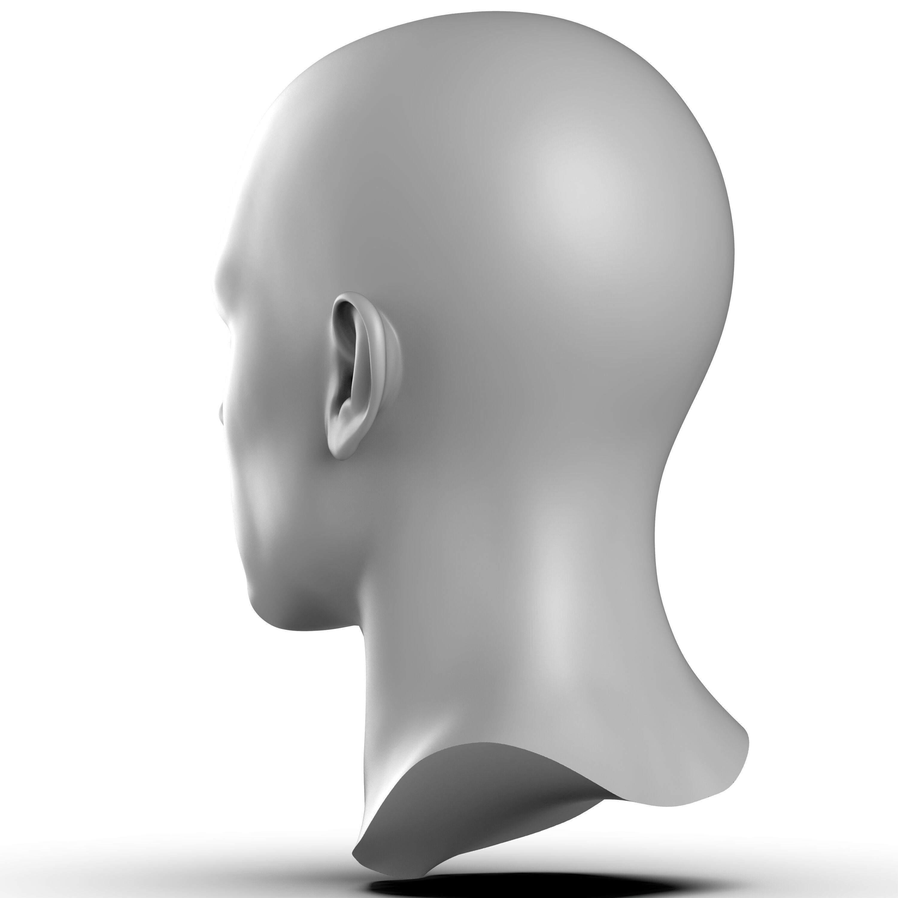 James - head 3D head model realistic head 3D model_5