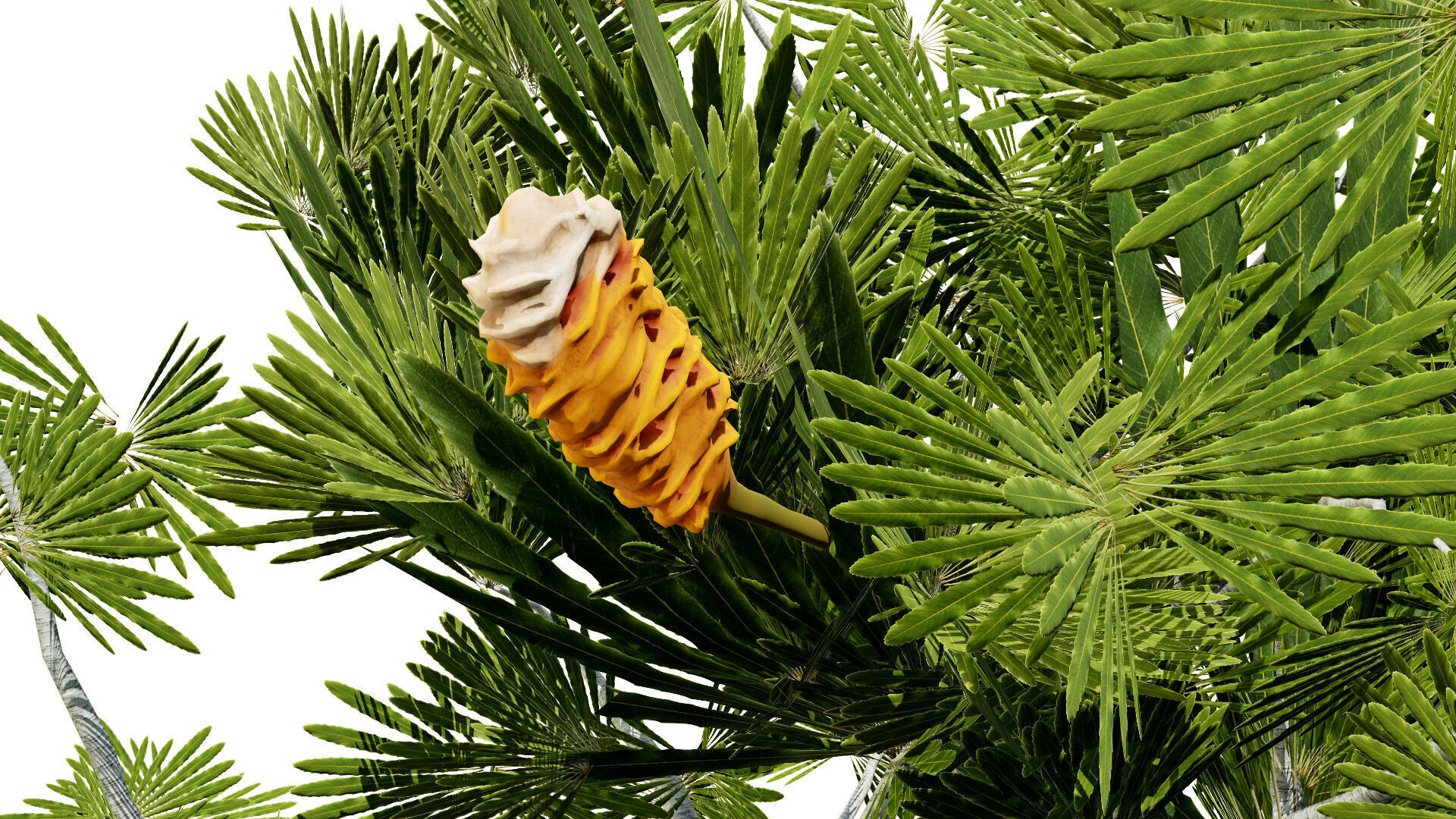 Australia Banksia Tree with free 3d shrub tutorial Low-poly 3D model_4