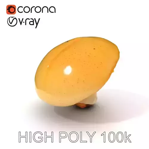 Realistic Mushroom Model Pack