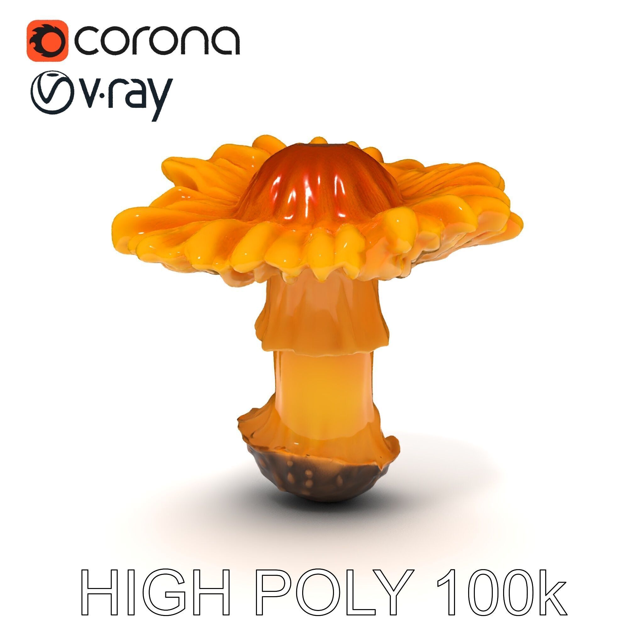 Chanterelle Mushroom D Model Pack Low-poly 3D model_34