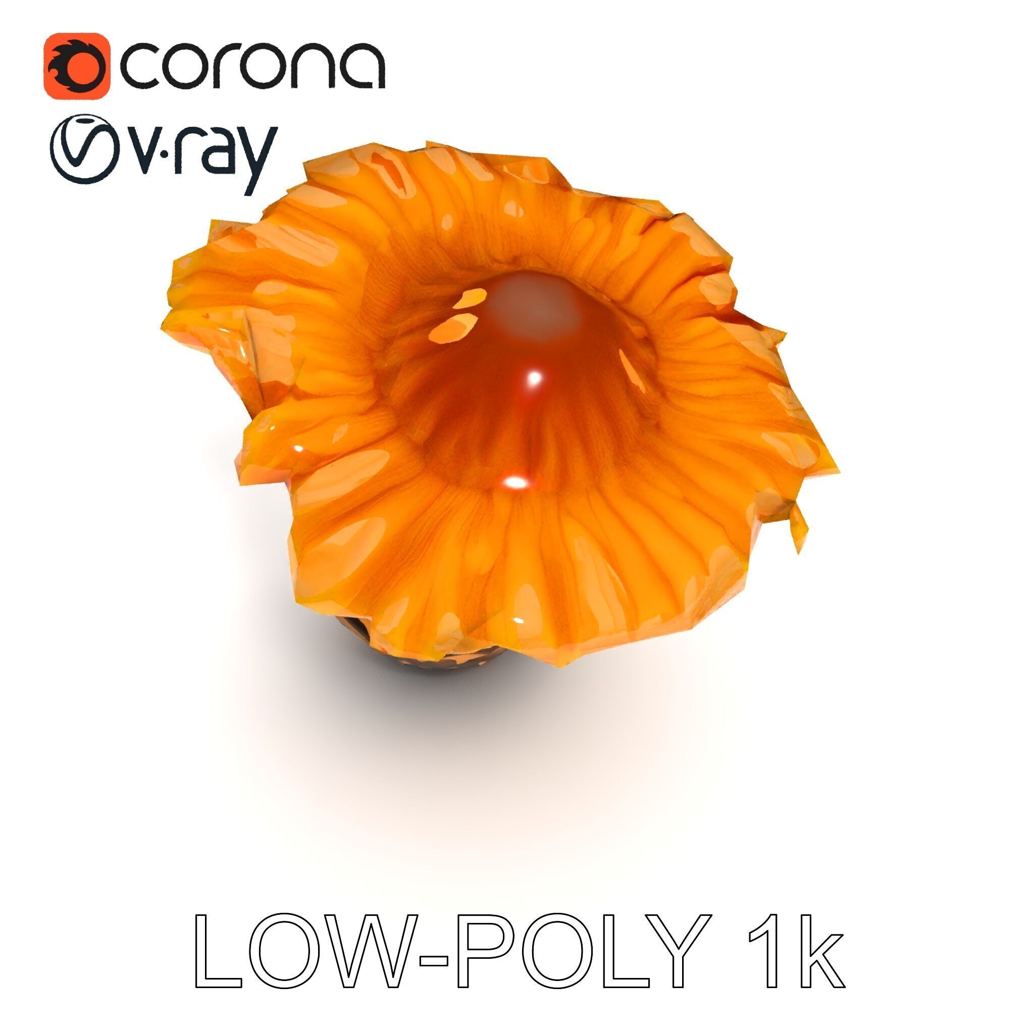 Chanterelle Mushroom D Model Pack Low-poly 3D model_12