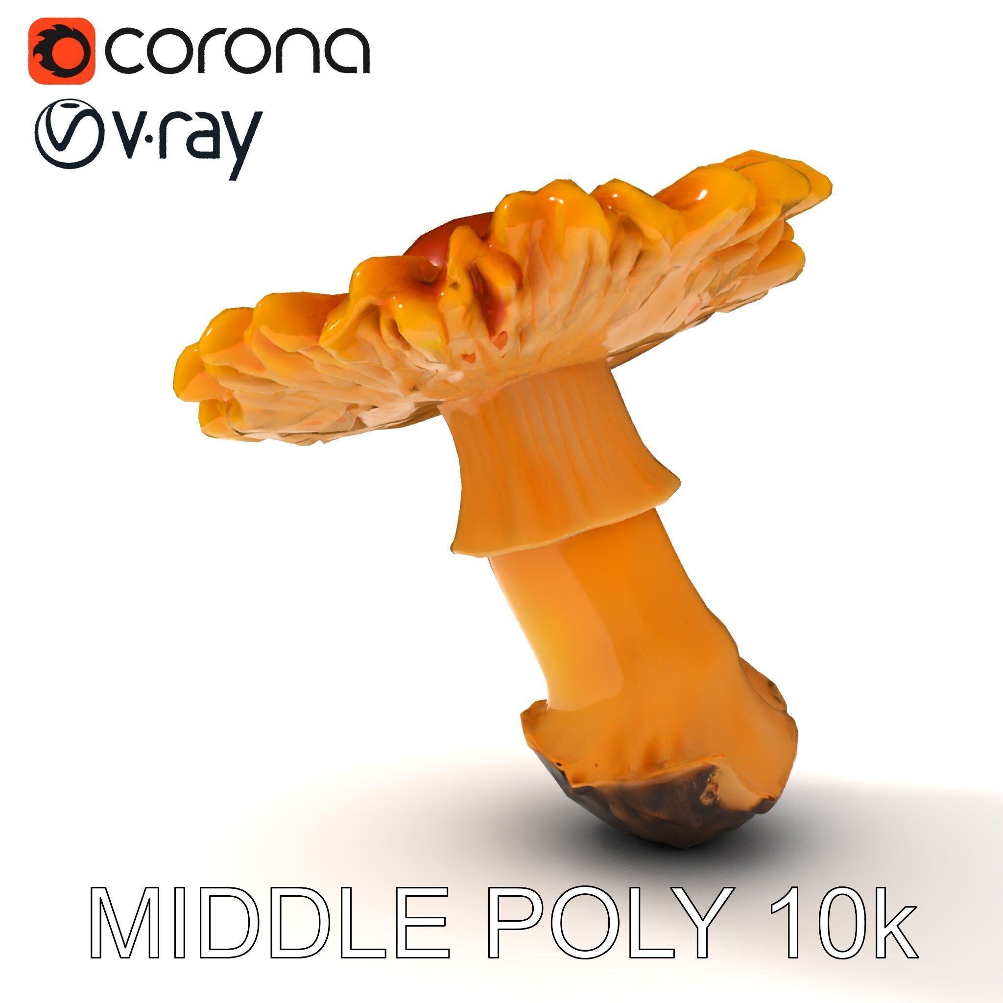 Chanterelle Mushroom D Model Pack Low-poly 3D model_6