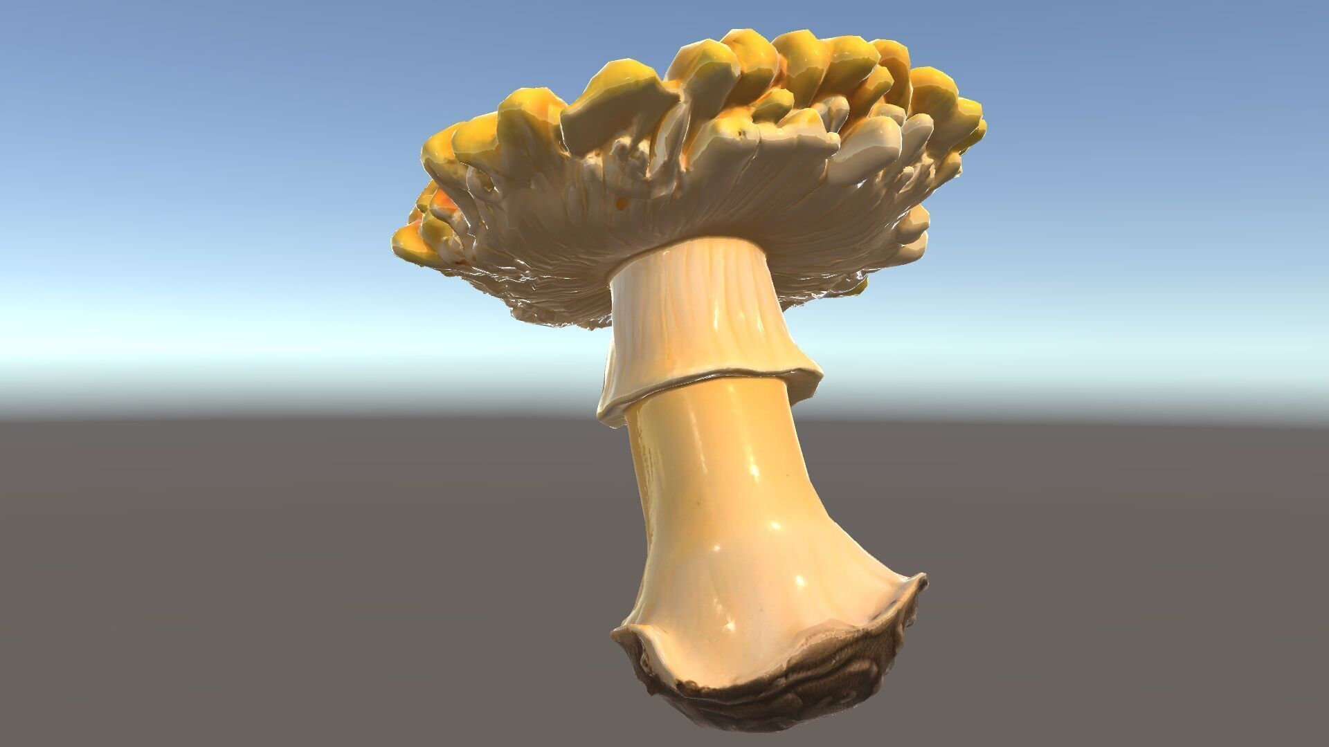 Chanterelle Mushroom D Model Pack Low-poly 3D model_27