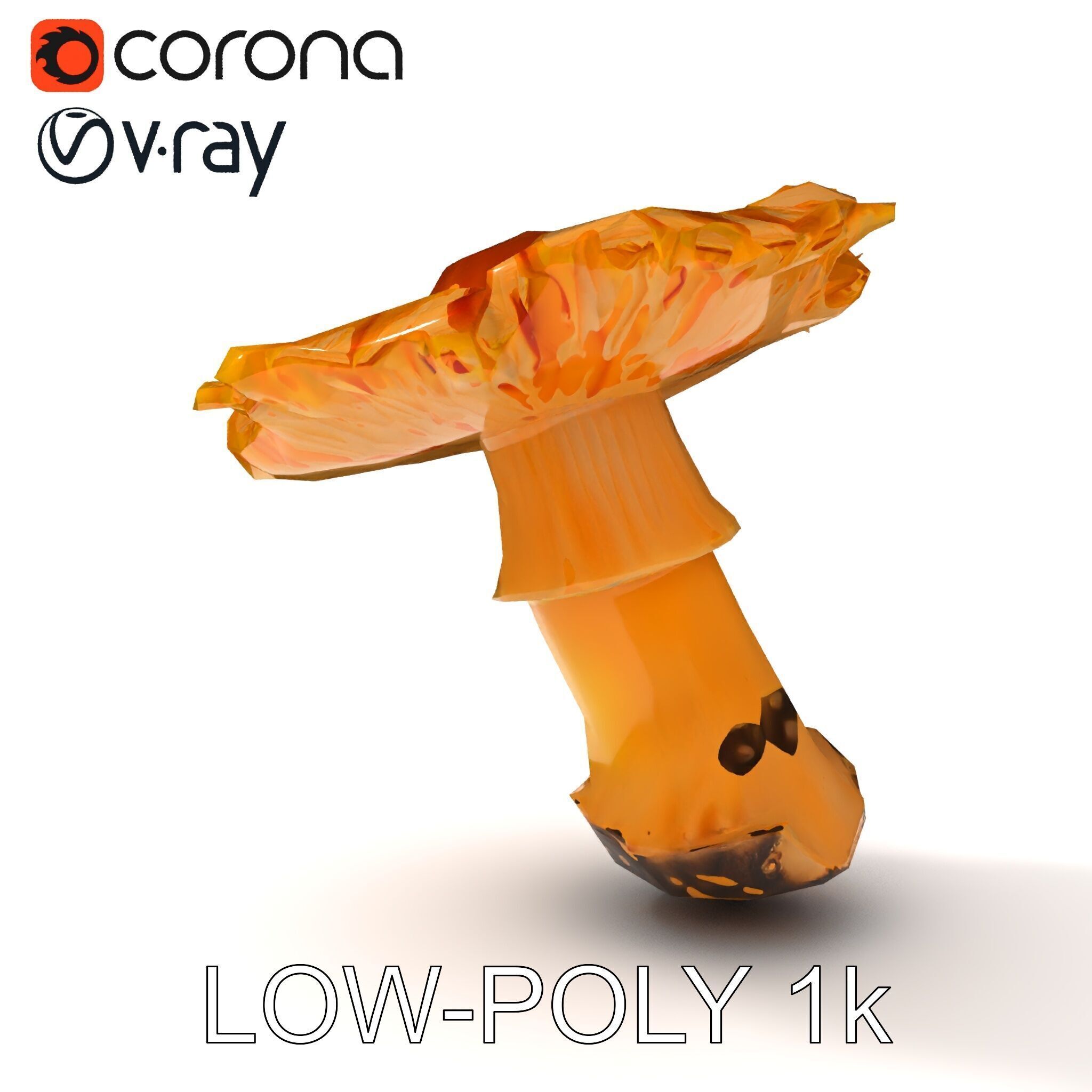 Chanterelle Mushroom D Model Pack Low-poly 3D model_10