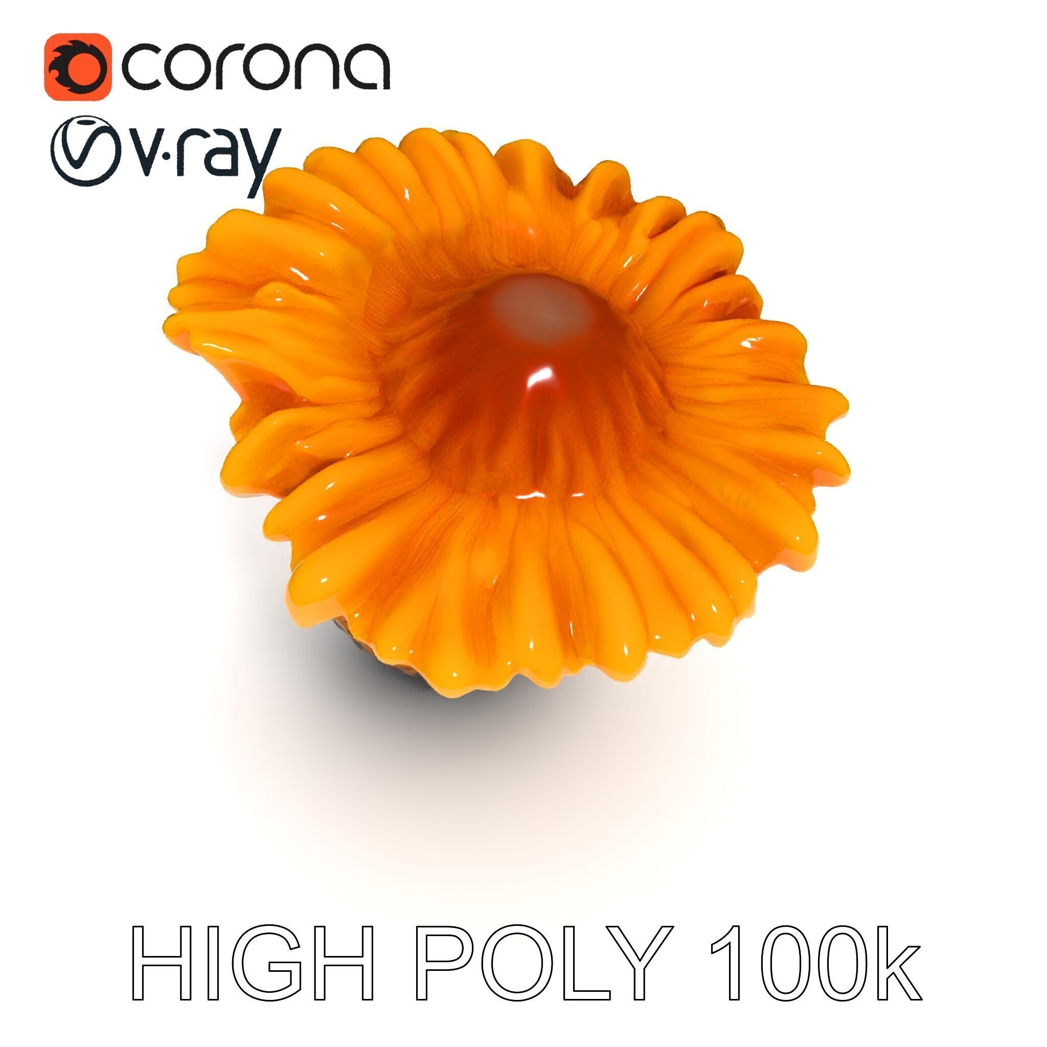 Chanterelle Mushroom D Model Pack Low-poly 3D model_13