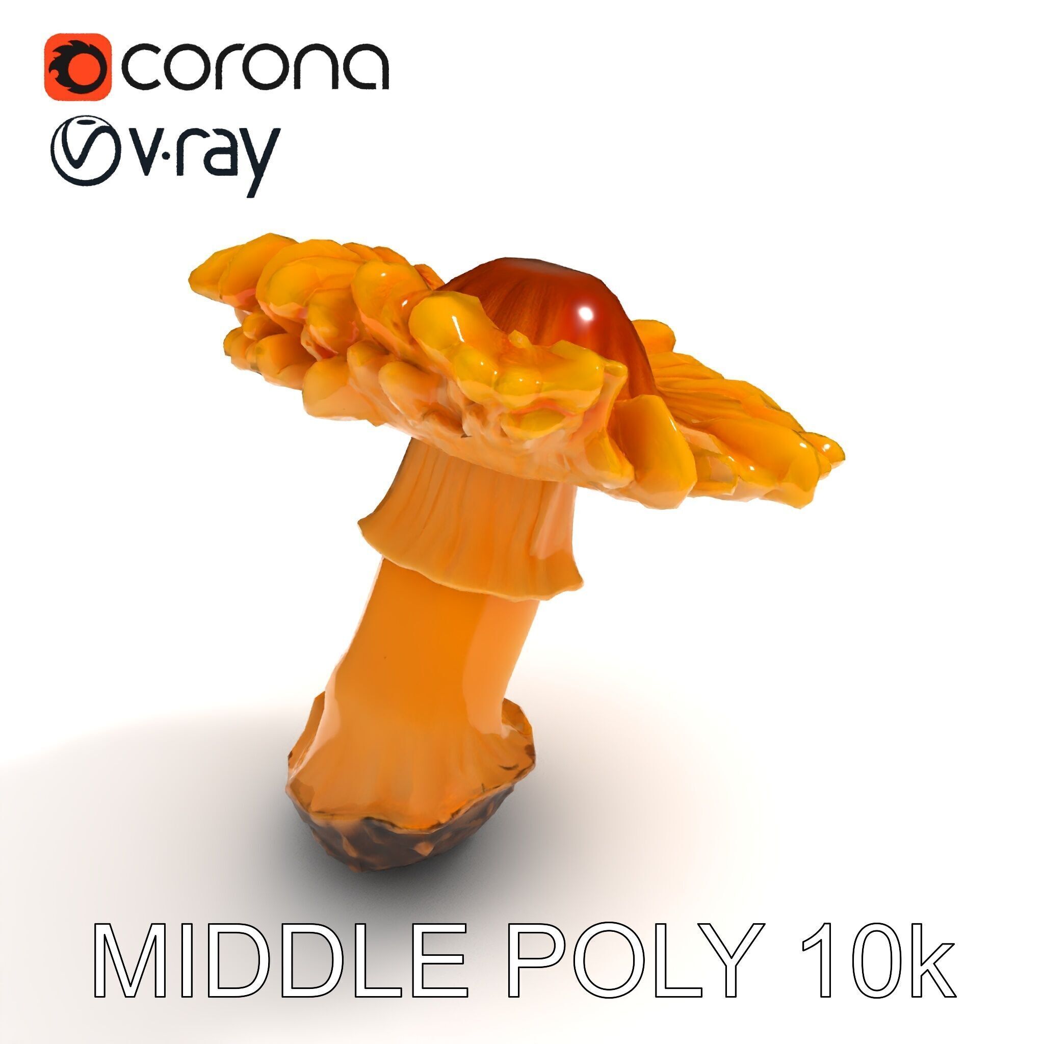 Chanterelle Mushroom D Model Pack Low-poly 3D model_32