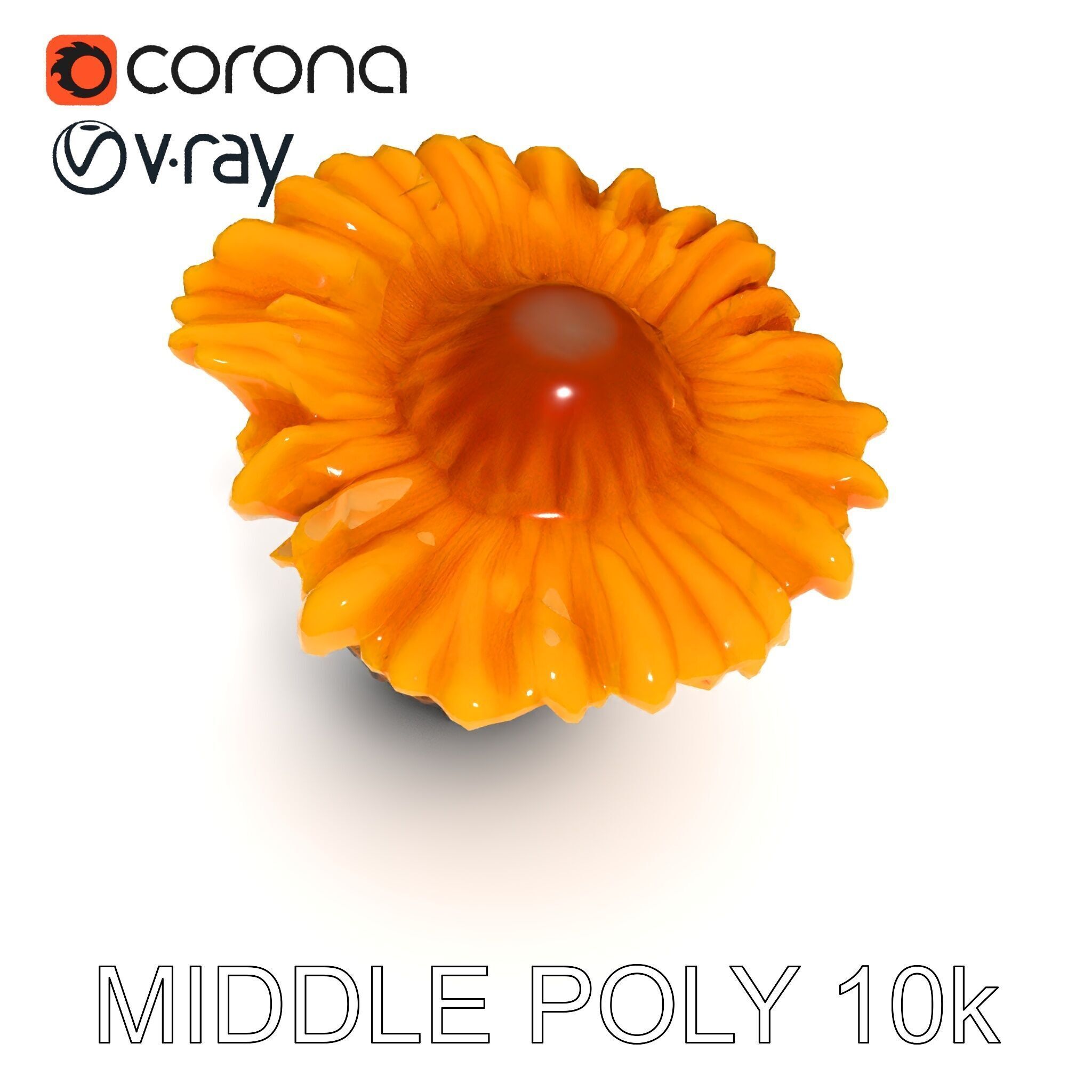 Chanterelle Mushroom D Model Pack Low-poly 3D model_14