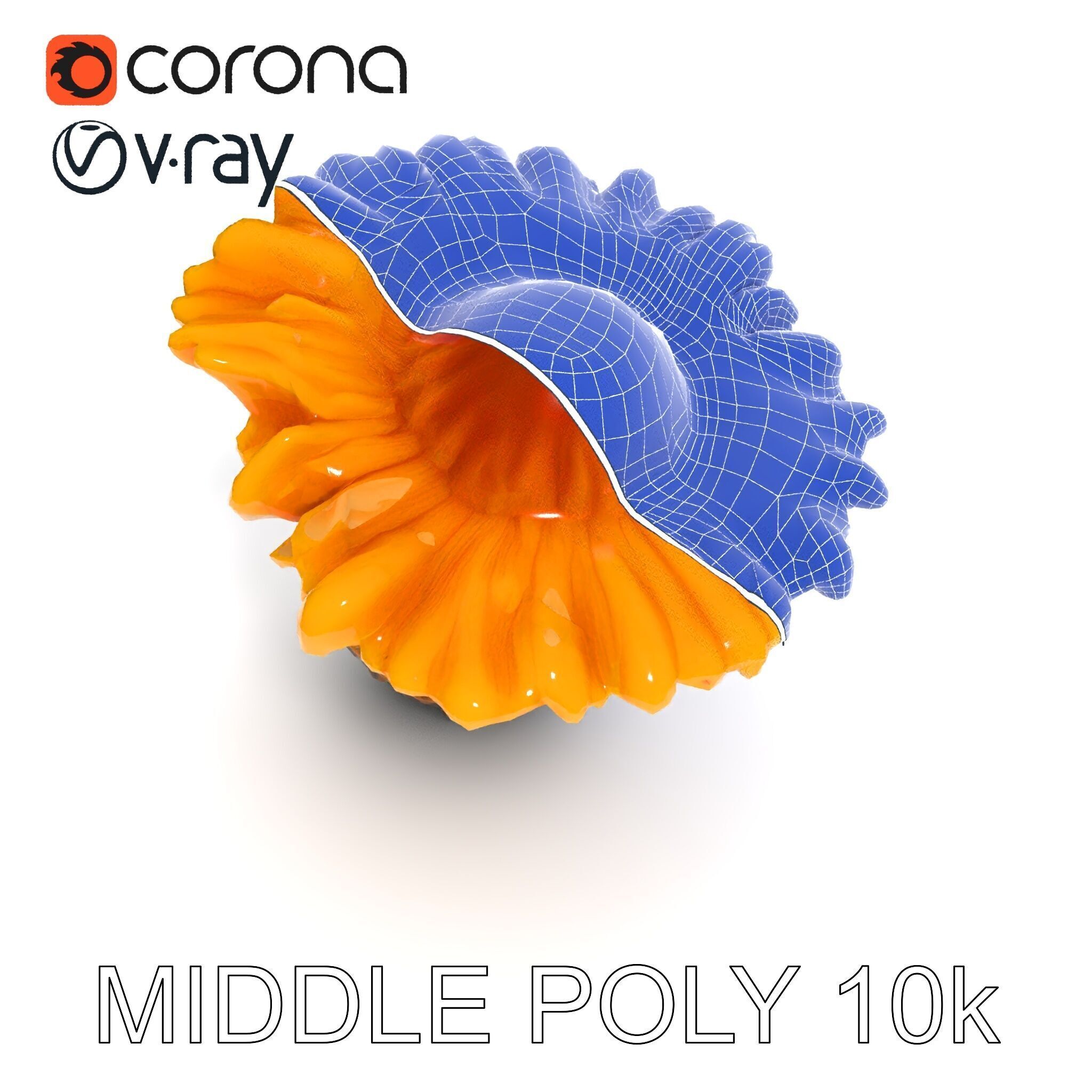 Chanterelle Mushroom D Model Pack Low-poly 3D model_30