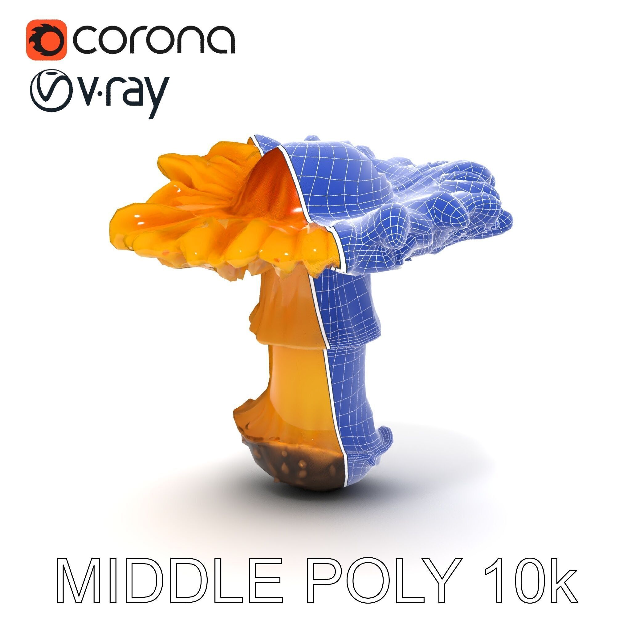 Chanterelle Mushroom D Model Pack Low-poly 3D model_18