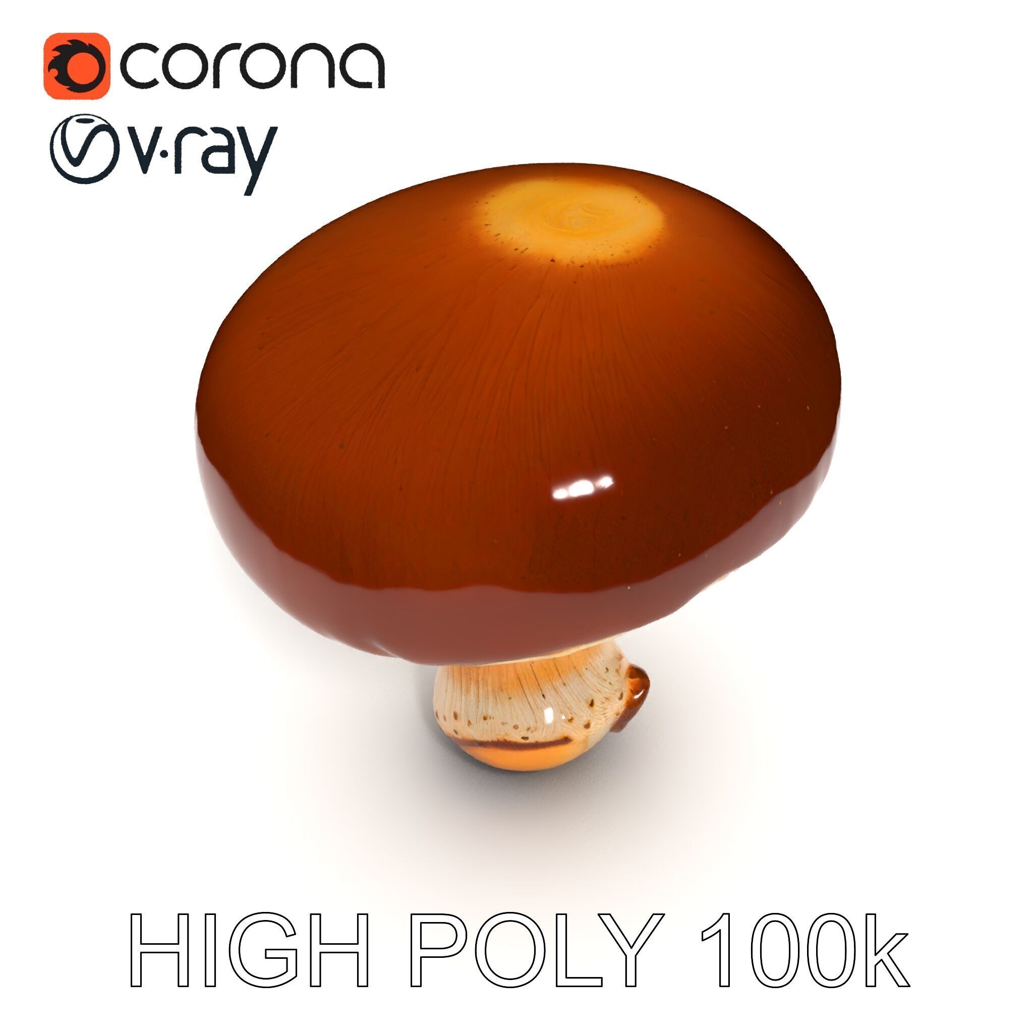 Realistic Mushroom Model Pack for D Environments and Games Low-poly 3D model_35