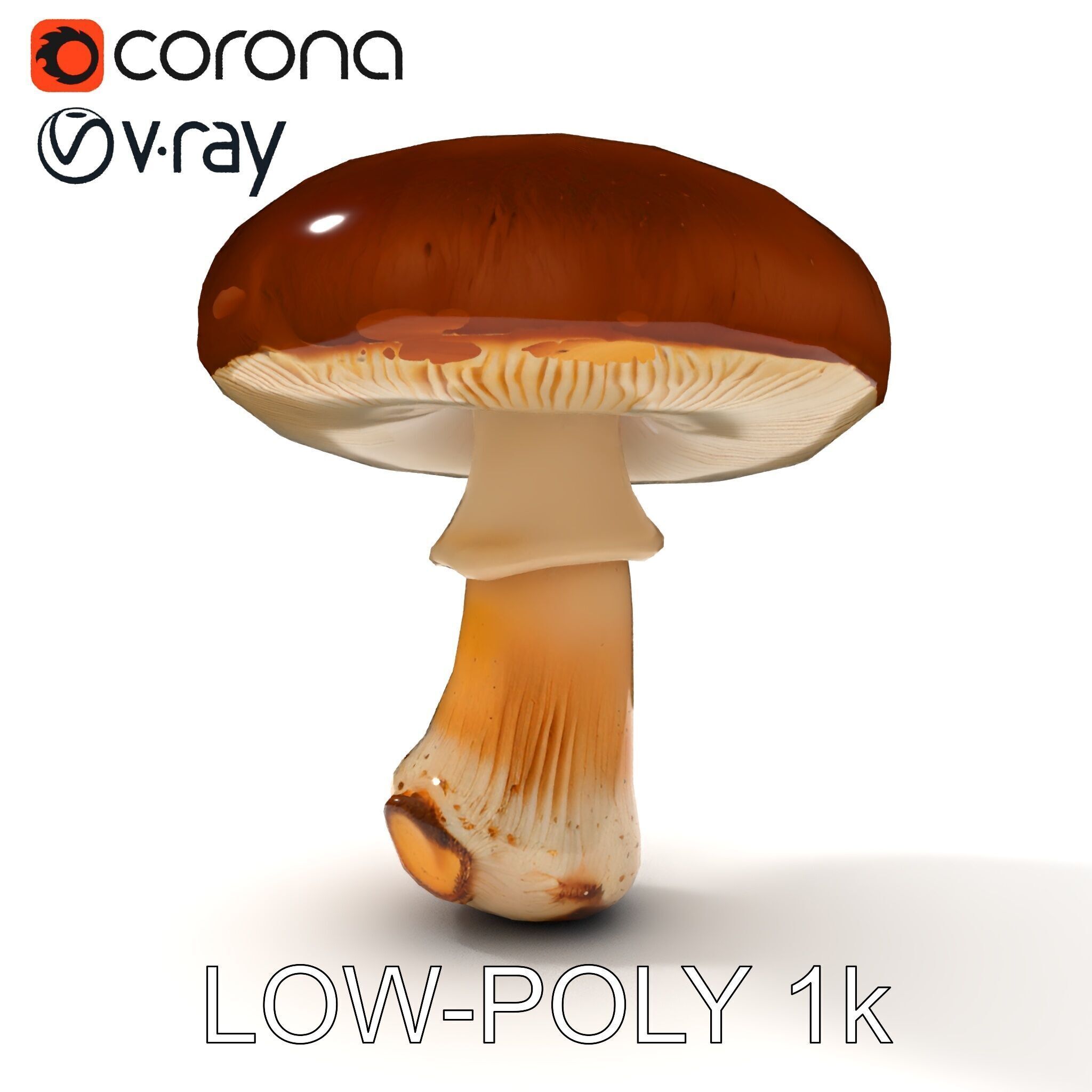 Realistic Mushroom Model Pack for D Environments and Games Low-poly 3D model_31