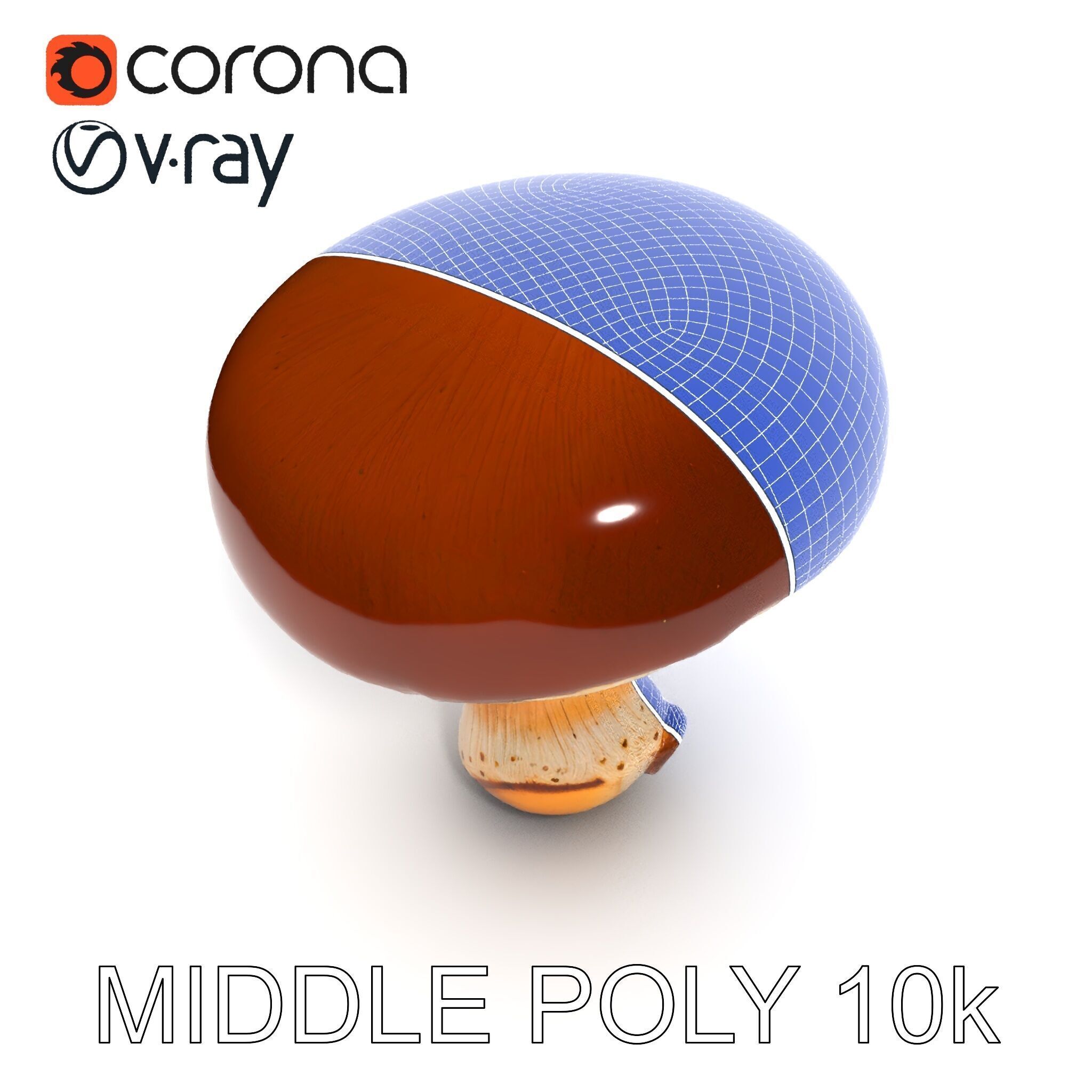 Realistic Mushroom Model Pack for D Environments and Games Low-poly 3D model_21