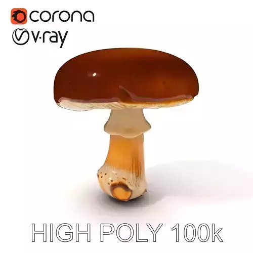 Realistic Mushroom Model Pack for D Environments and Games Low-poly 3D model