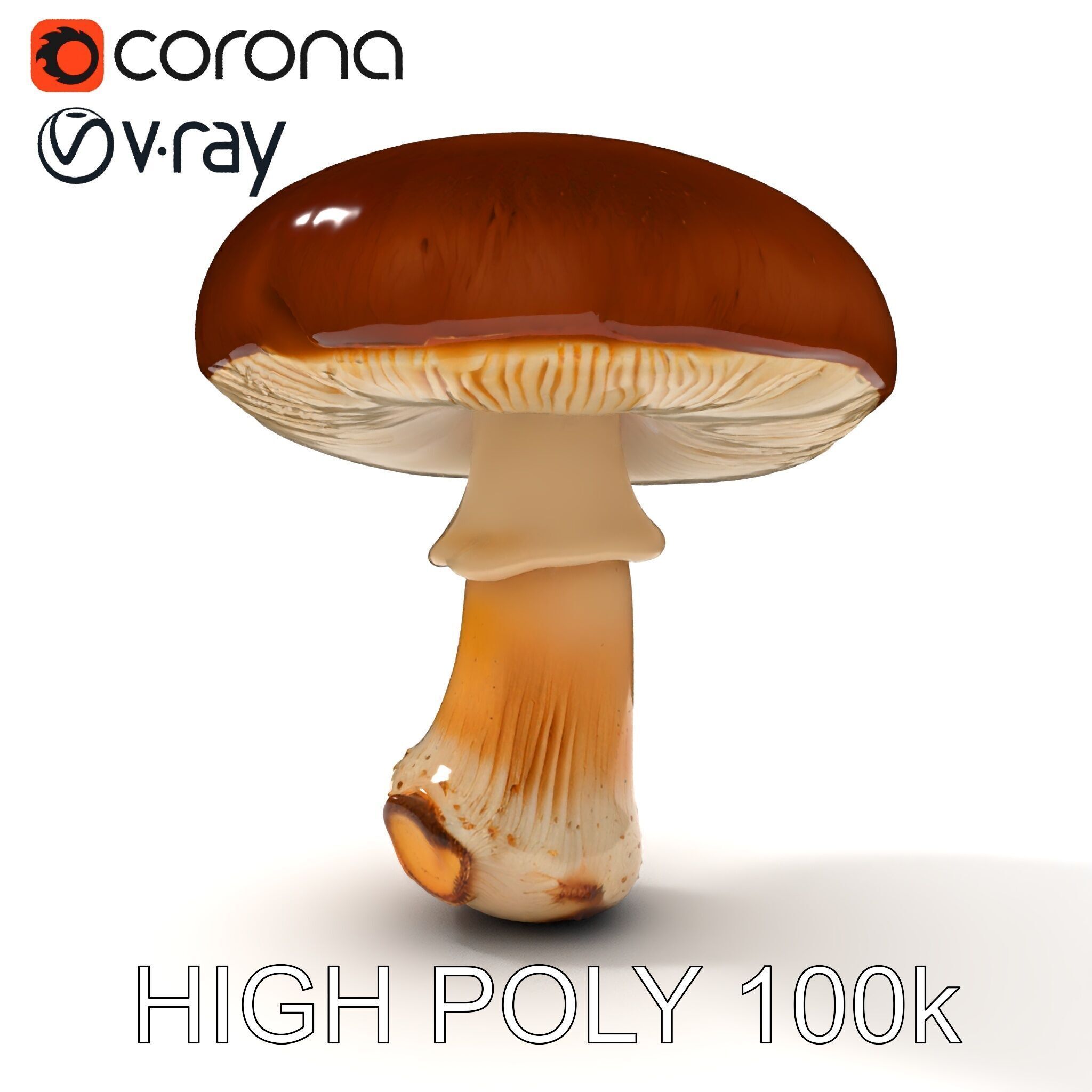 Realistic Mushroom Model Pack for D Environments and Games Low-poly 3D model_18