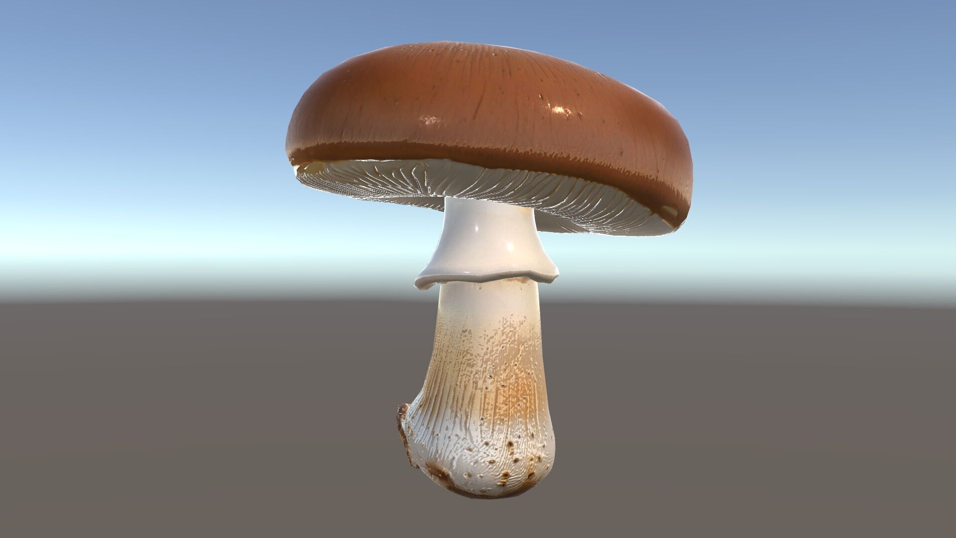 Realistic Mushroom Model Pack for D Environments and Games Low-poly 3D model_33