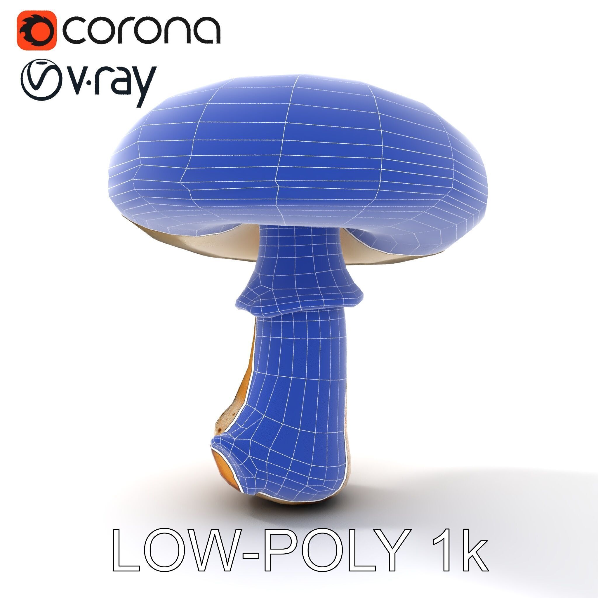 Realistic Mushroom Model Pack for D Environments and Games Low-poly 3D model_9
