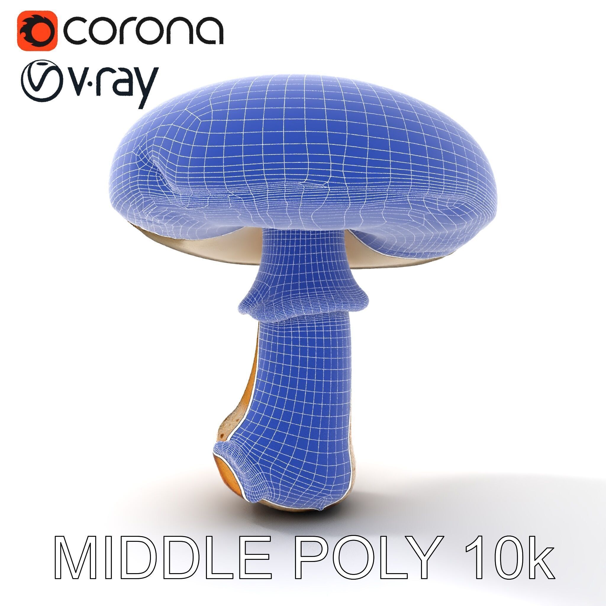Realistic Mushroom Model Pack for D Environments and Games Low-poly 3D model_16