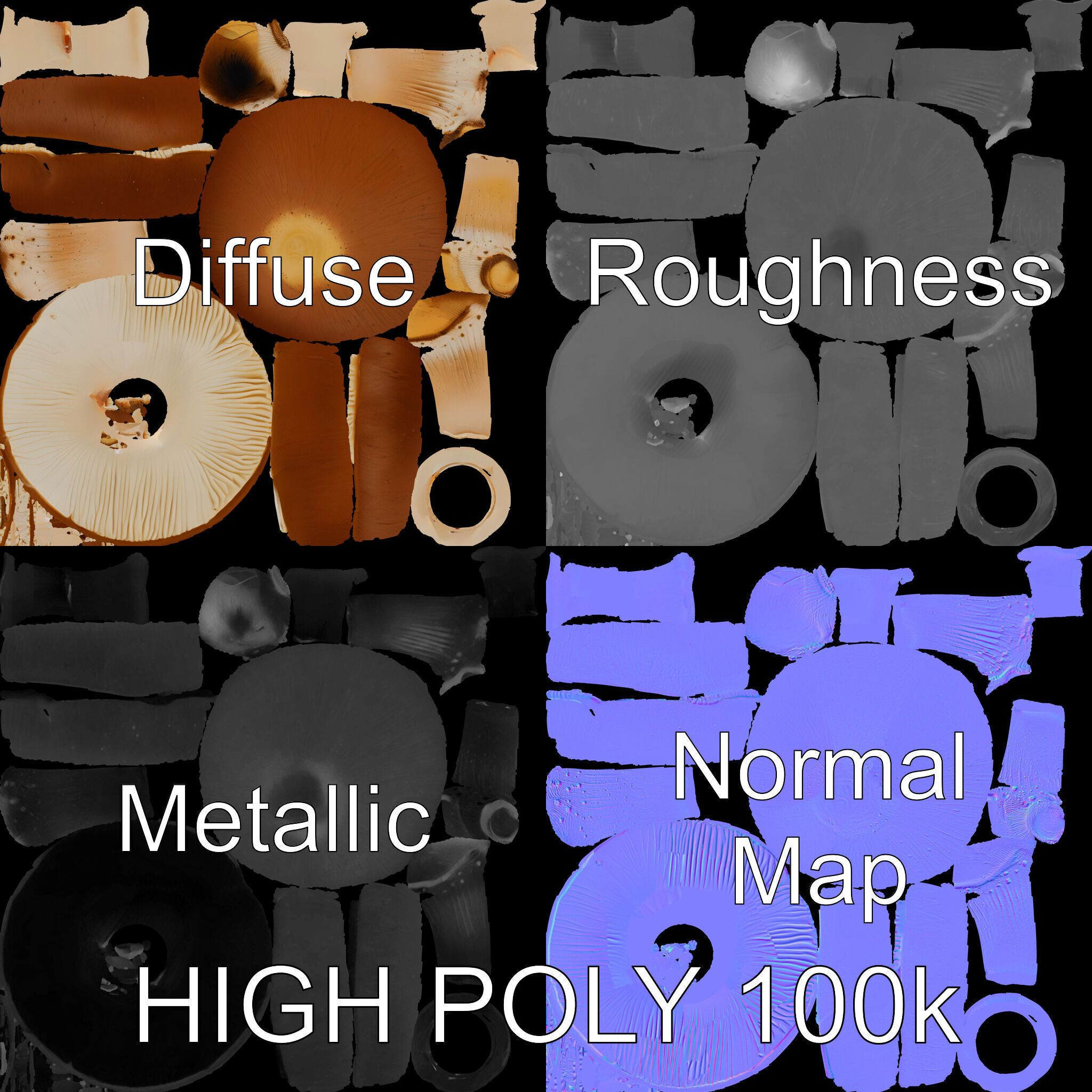 Realistic Mushroom Model Pack for D Environments and Games Low-poly 3D model_2