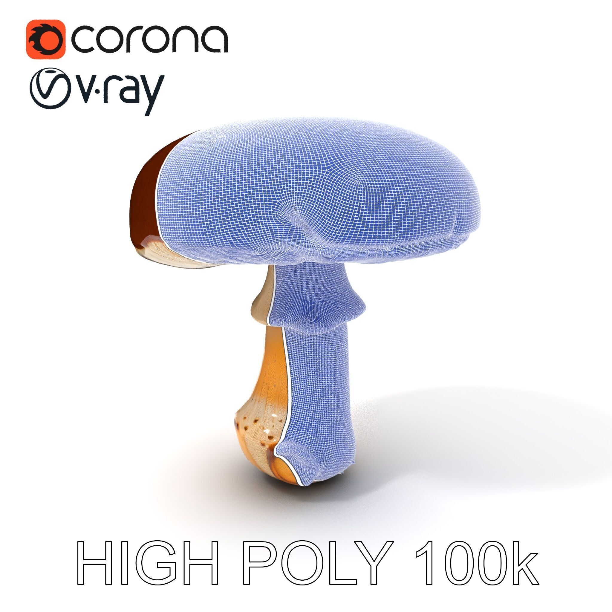 Realistic Mushroom Model Pack for D Environments and Games Low-poly 3D model_3