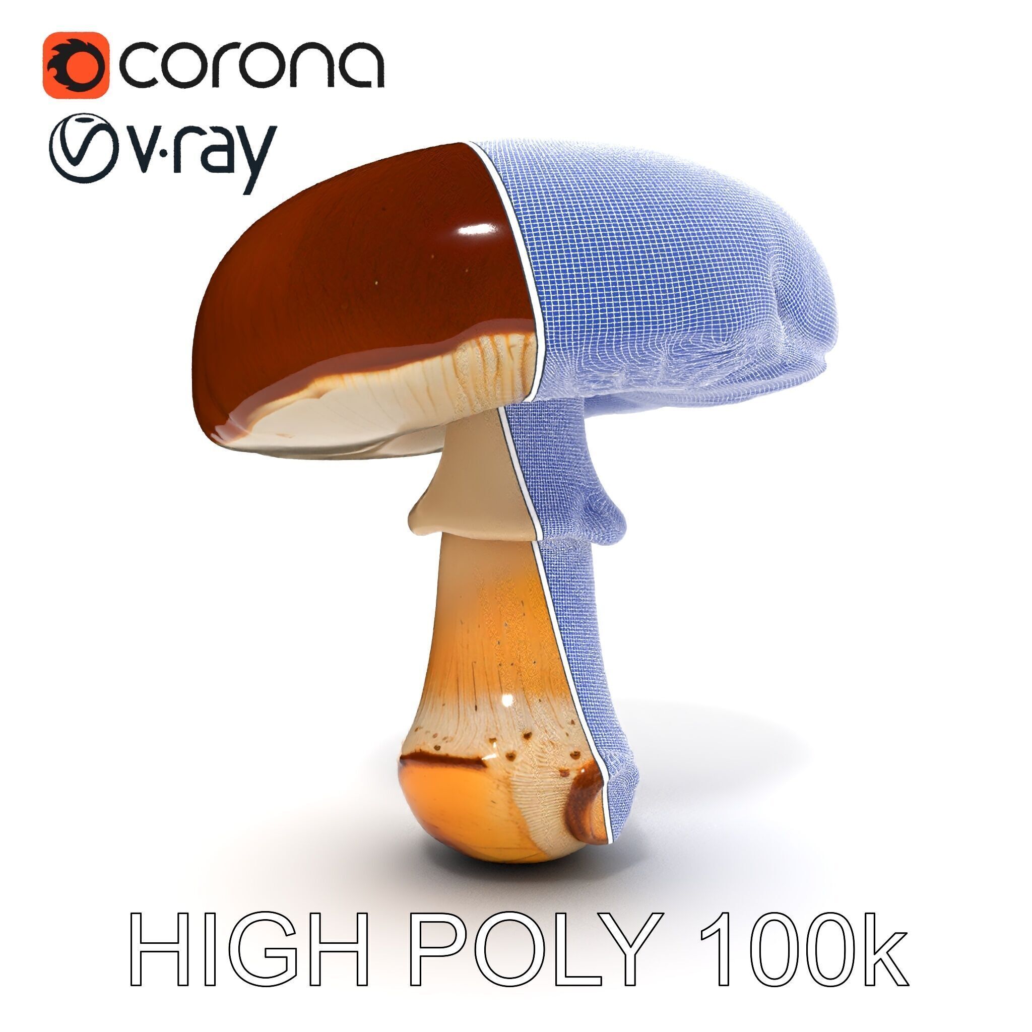 Realistic Mushroom Model Pack for D Environments and Games Low-poly 3D model_26