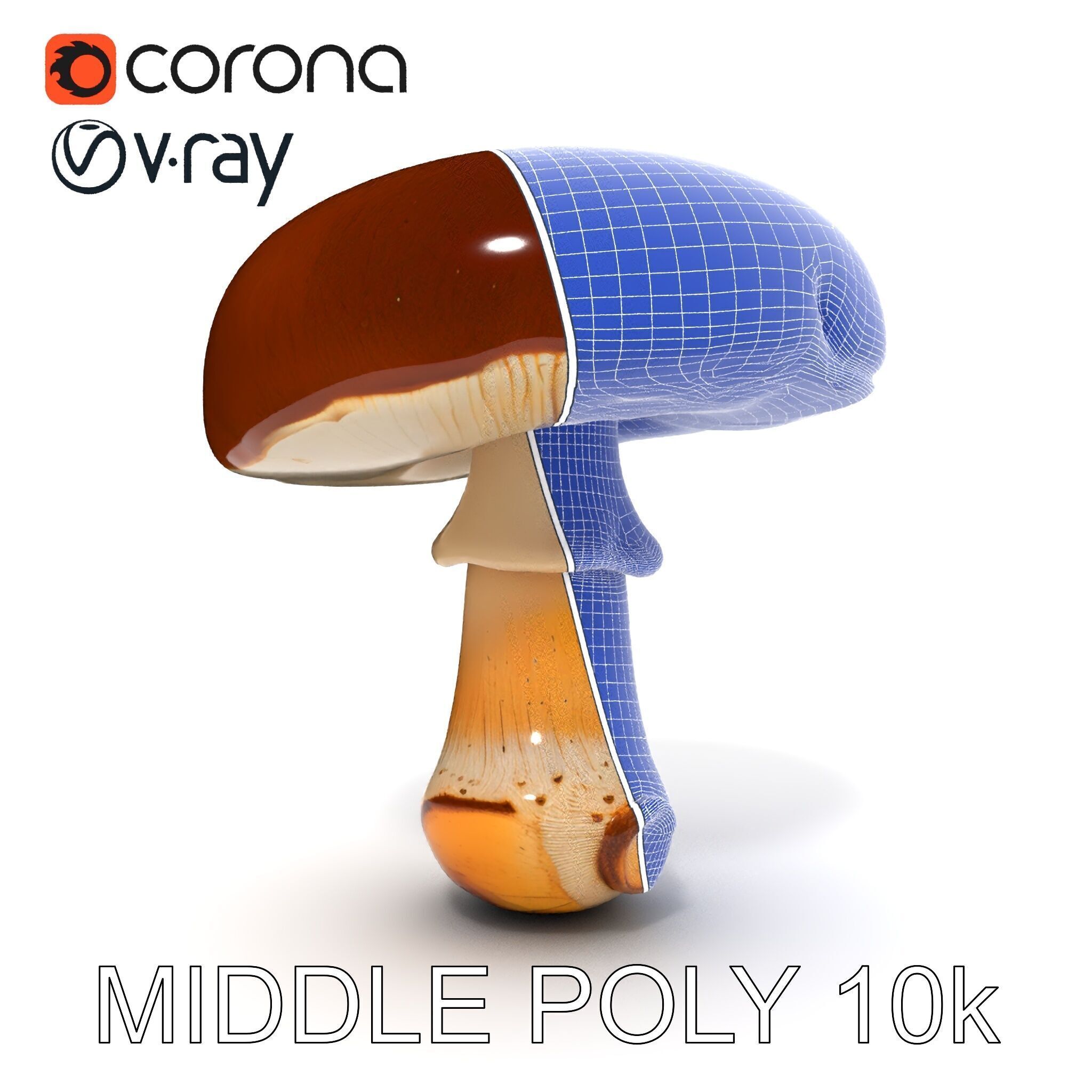 Realistic Mushroom Model Pack for D Environments and Games Low-poly 3D model_11