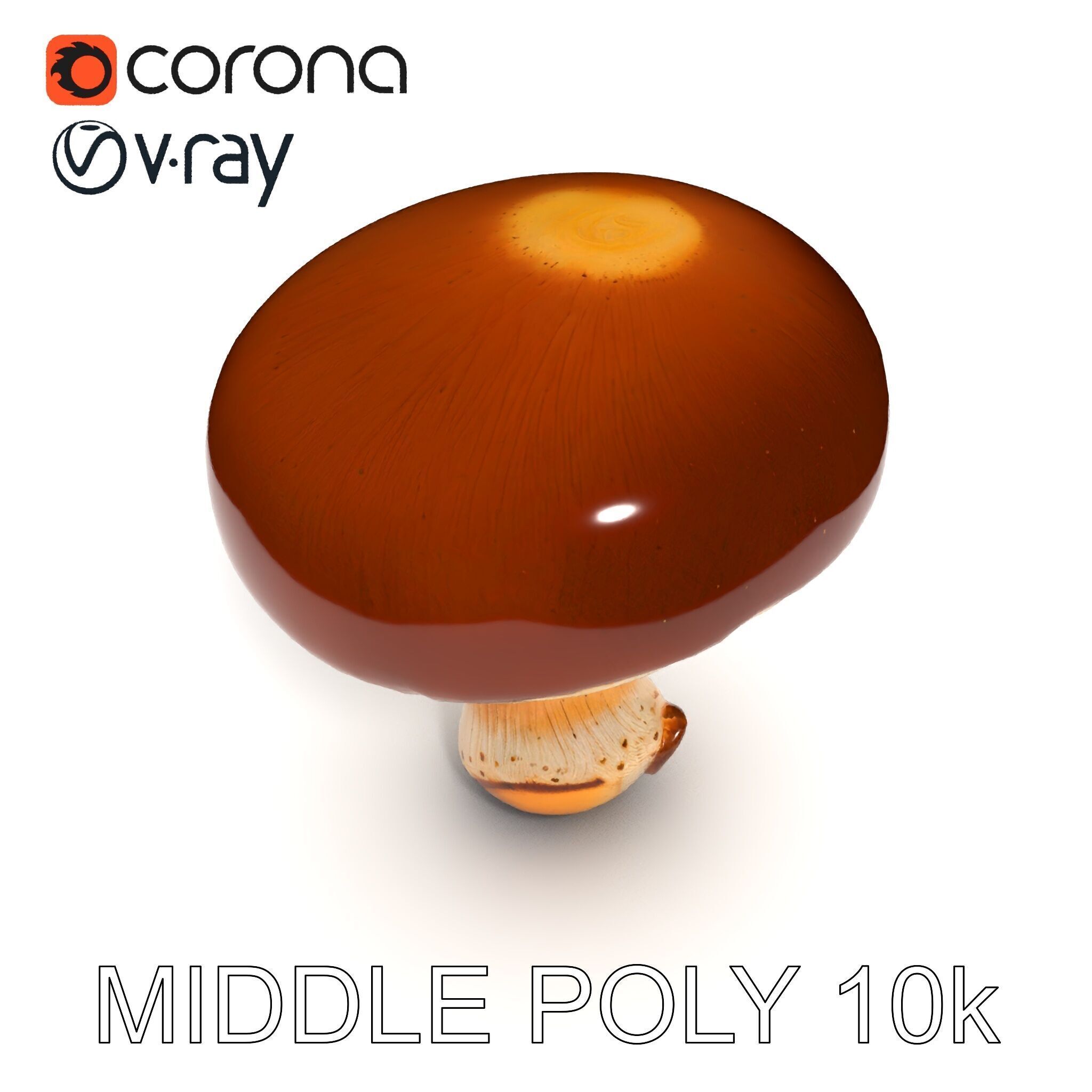 Realistic Mushroom Model Pack for D Environments and Games Low-poly 3D model_14
