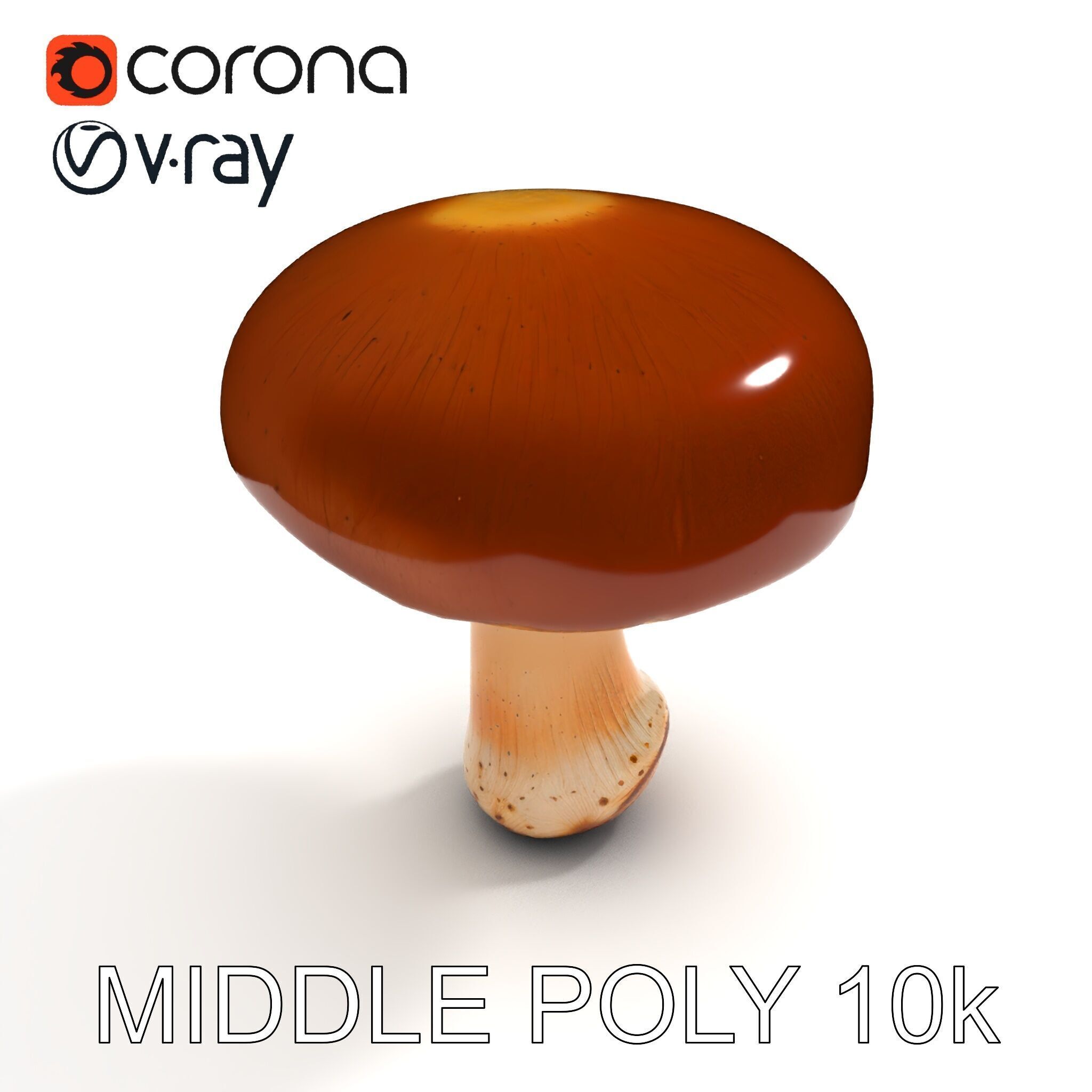 Realistic Mushroom Model Pack for D Environments and Games Low-poly 3D model_27