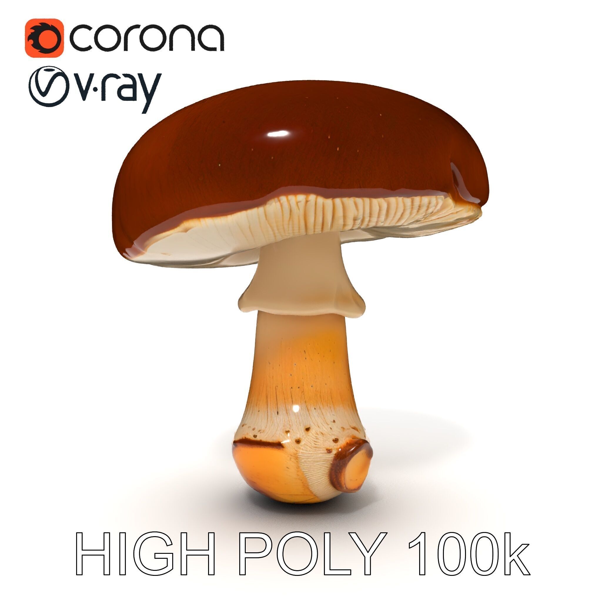 Realistic Mushroom Model Pack for D Environments and Games Low-poly 3D model_29